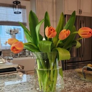 Meet your Posher, Michele